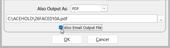 Also Email Output File Option